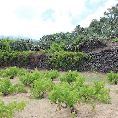 Il Dammuso Mille Emozioni Pantelleria Villa